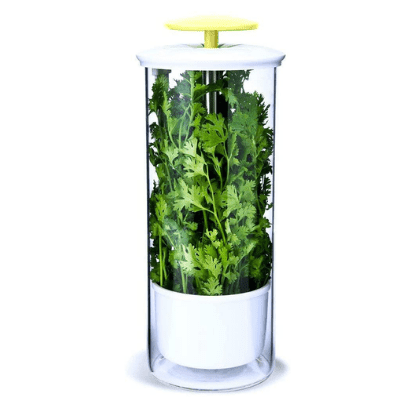fridge herb container